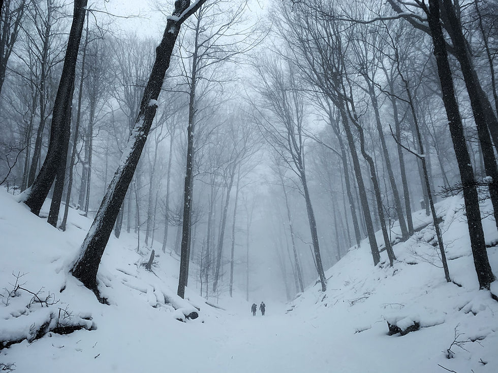 Winter